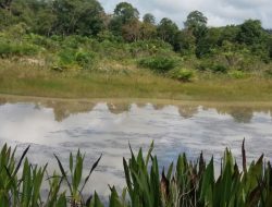 AKTIFITAS TI DI DESA BERUAS CEMARI PEMANDIAN WARGA