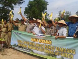 PANEN BERSAMA DI LAHAN BEKAS TAMBANG