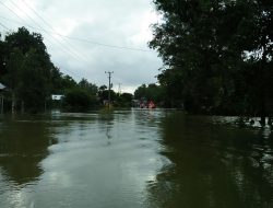 PEMPROV BABEL : PENGUNGSI BANJIR BELTIM 1.076 JIWA