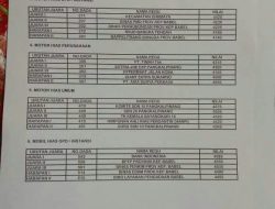 Hasil Panitia Juri Pawai Kendaraan Hias Di pertanyakan