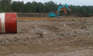 Tambak Udang Di Desa Gunung Muda Di Pertanyaan?