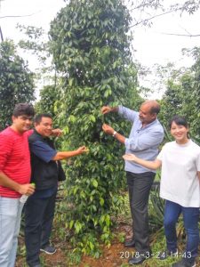 Erzaldi : Buyer Lada Mulai Kunjungi Babel