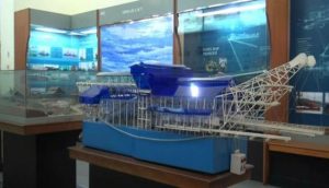 Berharap Usahanya Berkembang Bersama PT Timah