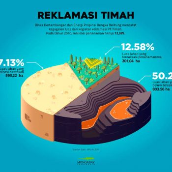 Ada Apa Dengan Addendum Amdal 8 RKL-RPL PT Timah