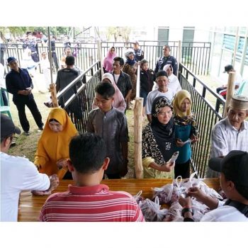 193 Sapi Disalurkan PT Timah Menjelang Idul Adha 1441 H