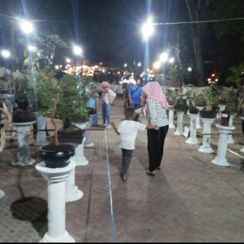 Pemkot Pangkalpinang Gelar Kontes Bonsai Di Taman Sari