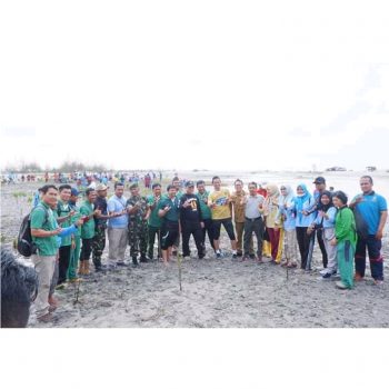 Ikebana Bareng PT Timah Tanami Pantai Rebo Mangrove