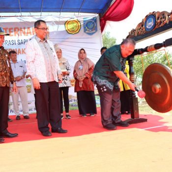 Pj Sekda Buka Gebyar Peternakan Babel 2019