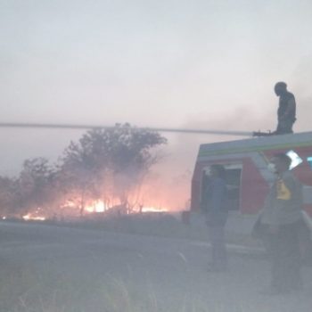 Cerita Damkar ULB PT Timah Bantu Padamkan Kebakaran Hutan
