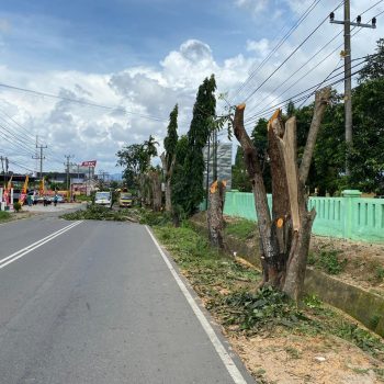 Pangkas Pohon Belum Sesuai Estetika,  PLN UP3 Bangka Minta Maaf