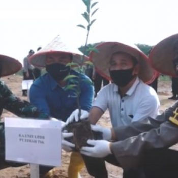 Ini Sinergi Reklamasi PT Timah