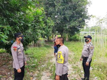 Hamili Adek Ipar, Mersil Ditemukan Gantung Diri