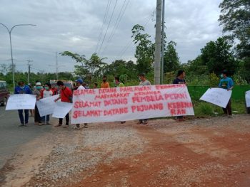 Petani Ubi Sambut Kedatangan Aparat Desa Kenanga Di PT BAA