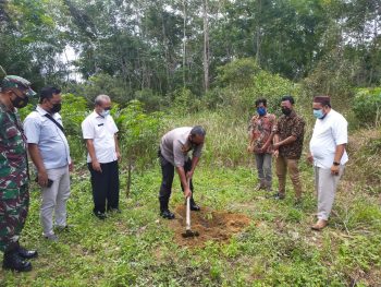 Melalui Yayasan Tin Peduli, PT Timah Tbk Bagikan 3000 Bibit Durian Namlung Untuk Warga Belo Laut