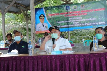 Pastikan Tepat Guna, Kucuran Dana 10 Miliar Rehabilitasi Mangrove Ditinjau Gubernur Erzaldi
