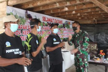 Danrem 045/Gaya Serahkan Pupuk dan Bibit Kopi Kepada Petani Dusun Mengkubung