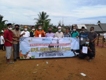 PT Timah Tbk Berbagi 226 Ekor Hewan Kurban di Wilayah Operasional