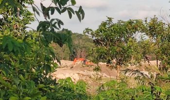 IUP PT Timah Digarap Secara Ilegal