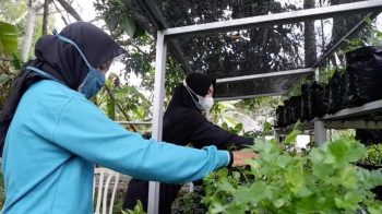 PT Timah Gandeng Hatinya PKK Kelurahan Sri Menanti Untuk Kembangkan Eco Village