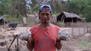 Usaha Peternakan Bebek Etrawadi Berkembangkan Semenjak Jadi Mitra Binaan PT Timah