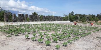 Mitra PT Timah Wajib Lakukan Reklamasi Tambang