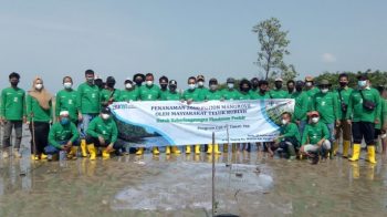 PT Timah Tbk, Tanam 2.000 Mangrove di Teluk Rubiah