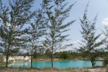 Konsisten Lakukan Reklamasi, Ini Capaian Reklamasi PT Timah Tbk Sepanjang 2021