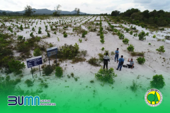 Lahan Bekas Tambang Timah Bakal Disulap jadi Sentra Budidaya Ikan Gabus