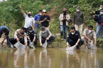Jaga Kelestarian Satwa, PT Timah Tbk Ikut Lepasliarkan Satwa di Hutan Menumbing