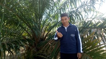 Manfaatkan Lahan Bekas Tambang PT Timah Tbk, Pengurus Masjid Darussalam Desa Pangek Miliki Kebun Sawit