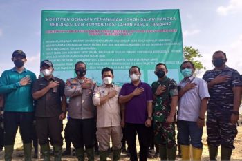 PT Timah Hijaukan Lima HektareLahan Bekas Tambang