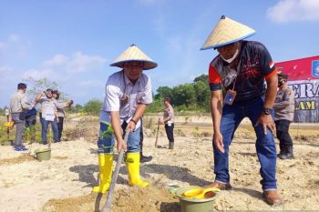 Tahun 2022, Realisasi Reklamasi TINS Capai 100 Persen, Lahan Bekas Tambang Ditata Jadi Lokasi Pembangunan Sekolah