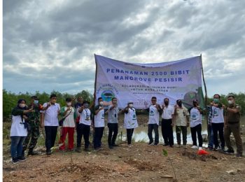Cegah Abrasi, PT Timah Tbk Tanam 2.500 Bibit Mangrove di Kawasan Aliran Sungai Pangkalpinang