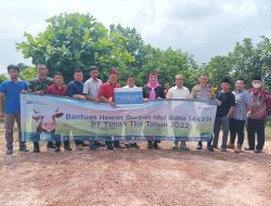 Terima Hewan Kurban dari PT Timah Tbk untuk Masyarakat, Riza Herdavid Ngaku Terharu 