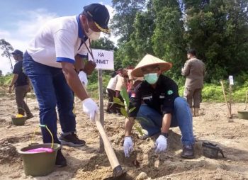 PT Timah Tbk Rehabilitasi Lahan Pasca Tambang di Hutan Tahura Bukit Menumbing