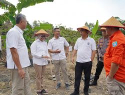 Wamen Kemendes PDTT Kunjungi Program Pemberdayaan Masyarakat Berbasis Agribisnis yang Dilakukan PT Timah Tbk