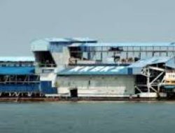 PT Timah Tbk Sumbang Pendapatan Negara Sebesar Rp776,6 Miliar