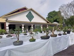 PT Timah Dukung Pameran Bonsai dan Aquascape