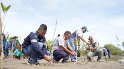 PT Timah Tbk Galakkan Penanaman Mangrove Menuju Net Zero Emission