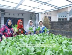 Pj Ketua PKK Sri Utami Pimpin Penilaian Lomba HATINYA PKK di Kelurahan Sinar Bulan