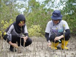 Gerakan Menanam Satu Kebaikan, PT Timah Tbk Tanam Mangrove dan Sukun di Pantai Serdang