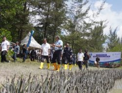 Menteri Kelautan Lihat Program Revitalisasi Mangrove PT Timah Tbk, Wujudkan Implementasi Ekonomi Biru