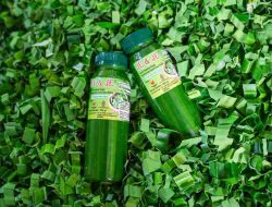 Perjalanan Levaria Kembangkan Usaha Pewarna Makanan, Kini Kian Sukses Setelah Jadi Mitra Binaan PT Timah Tbk