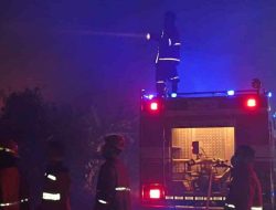 PT Timah Tbk Kerahkan Tim Damkar Bantu Tanggulangi Kebakaran Lahan Gambut di Kota Pangkalpinang