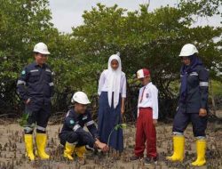Konsisten Lakukan Penanaman Mangrove, Langkah Nyata PT Timah Tbk Mendukung untuk Wujudkan Net Zero Emission