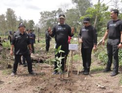 Pj Gubernur Safrizal Tantang Tanam 1 Juta Pohon di 2024