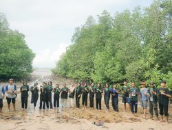 Aksi Tanam 1000 Mangrove Oleh Siparpala SMKN 3 Tanjungpandan