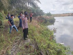 Mayat Pria Lansia Ditemukan di Kebun Sawit Desa Kimak, 
