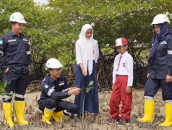 Langkah Nyata PT Timah Dalam Mitigasi Perubahan Iklim