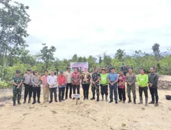 Rehabilitasi DAS di Bangka Selatan, PT TAM Kolaborasi Bersama Korem 045 Gaya Tanam Pohon Kayu Putih